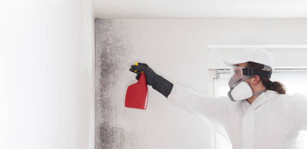 Best Certified Mold Removal  in , SD